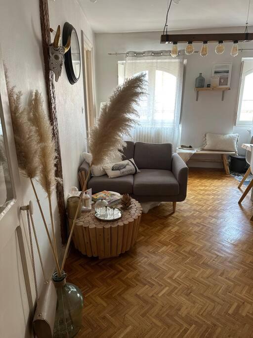 Appartement Carmes, Hypercentre Тулуза Экстерьер фото